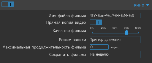 Настройки записи видео в motionEye