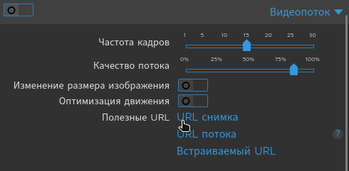 URL снимка в motionEye