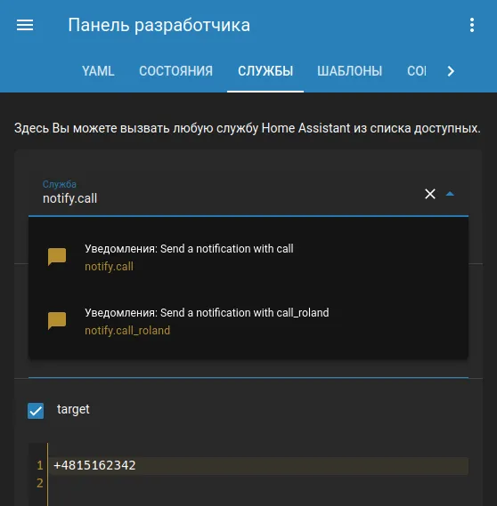 Вызов службы notify.call из панели разработчика Home Assistant